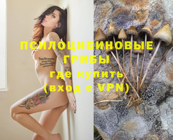 спайс Михайловск