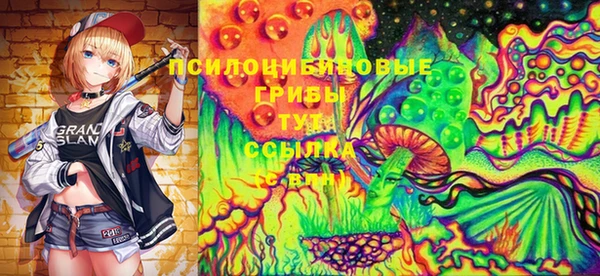 PSILOCYBIN Белокуриха